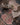 Multi Wool area rug 5'3" X 7 - overhead flat lay view