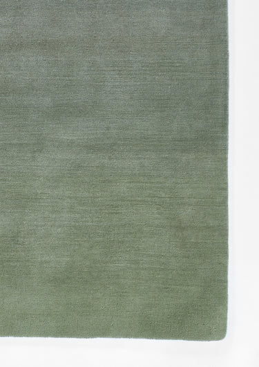 Green Wool area rug 5' X 8' - close-up of pattern and texture