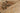 Natural Contemporary area rug 8' X 10' - styled in a bedroom