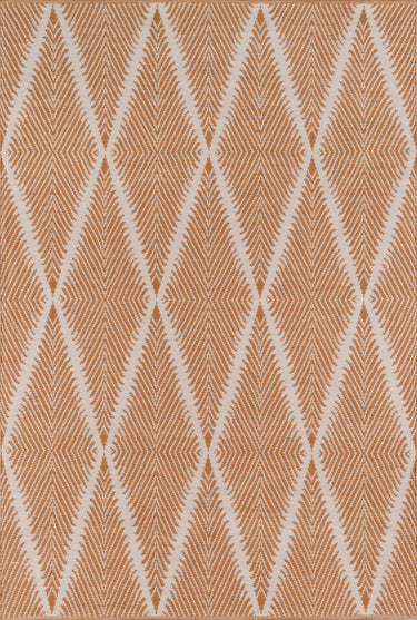 River Orange Runner Rug - RIV-1 Handwoven, 2'3" X 8' Runner