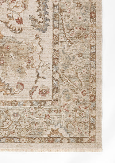 Red Oriental area rug 9' X 12' - close-up of pattern and texture