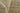 Natural Teppe Hand - Tufted Area Rug by Momeni, 5' X 8'