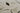 Appleton Ivory Handwoven Area Rug, Thompson THO-3 7'6" X 9'6"