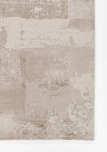 Ivory area rug 7'10" X 10 - close-up of pattern and texture