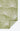 Green Transitional area rug 5'3" X 7 - overhead flat lay view