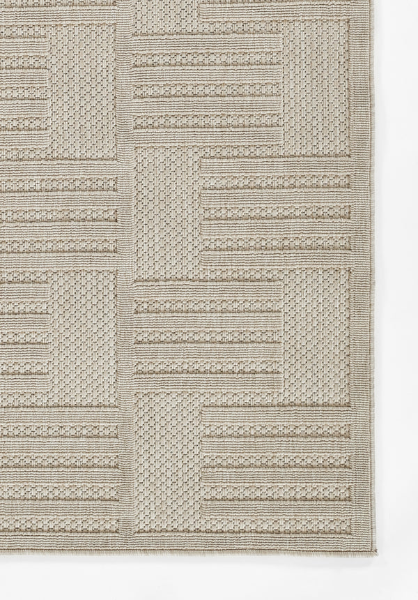 Geometric Beige Area Rug, Vines 3'11