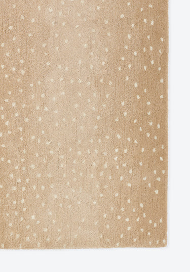 Beige Wool area rug 2' X 3' - close-up of pattern and texture