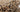 Beige area rug 2'6" X 8 - styled in a living room