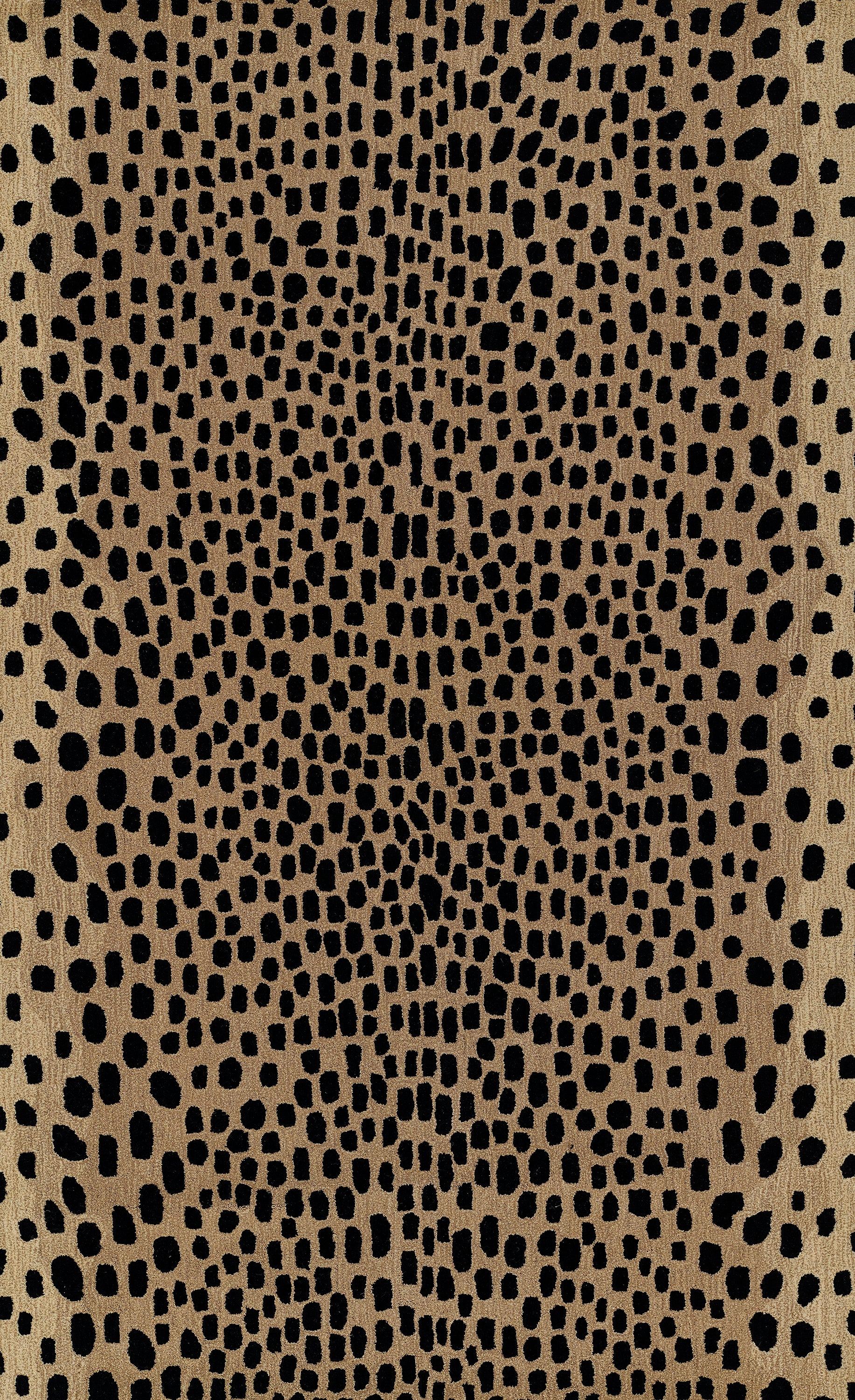 Beige Wool area rug 3'6" X 5 - styled in a living room