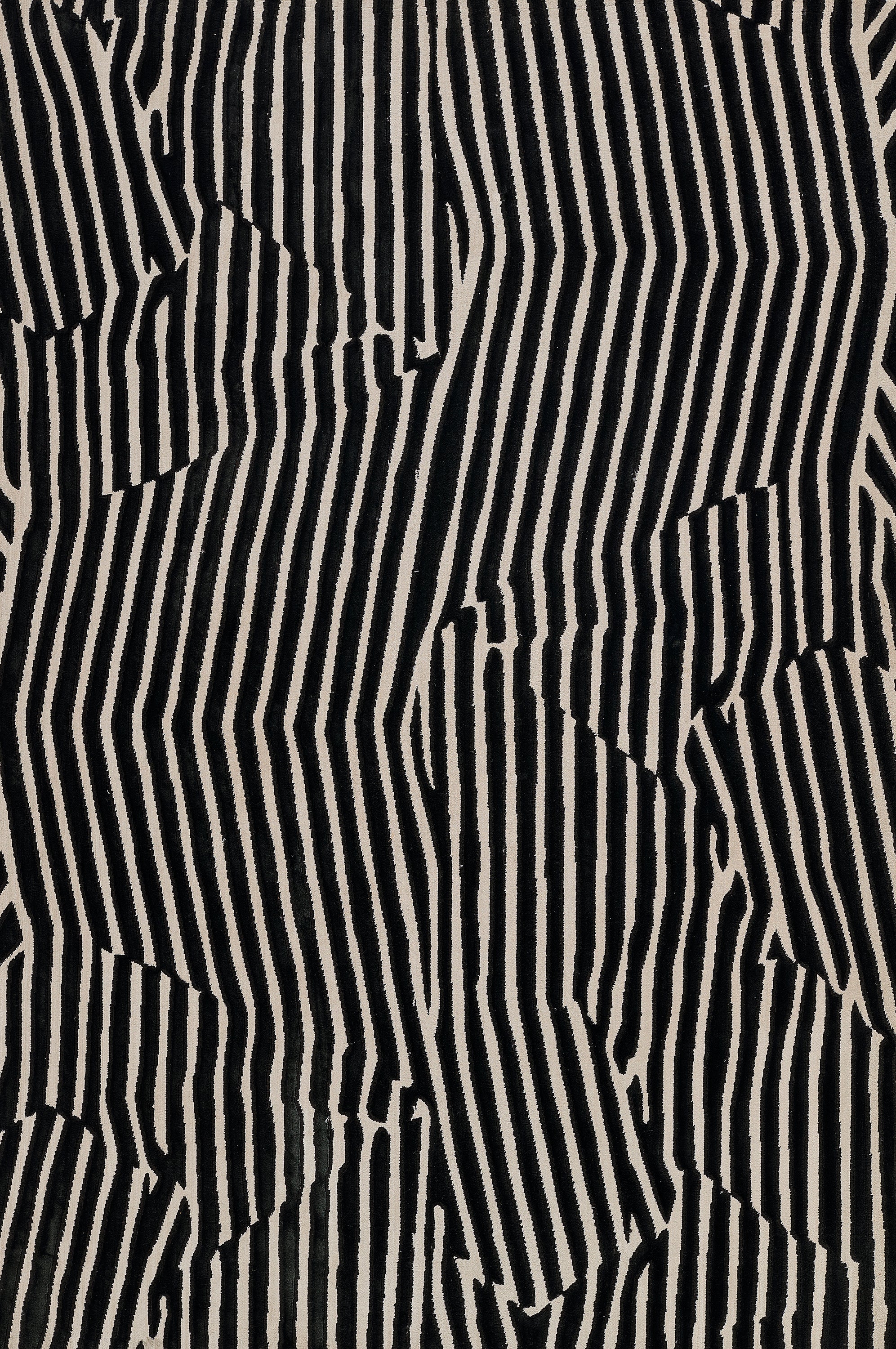 Black Xander Machine Made Area Rug, 9'3