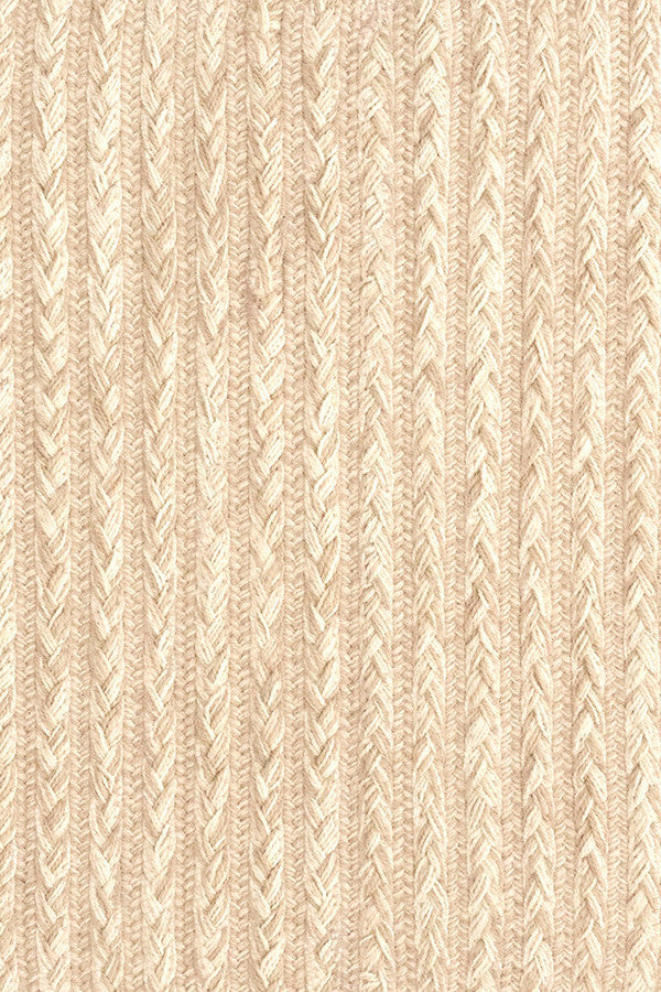 Down East Sand Dollar Area Rug