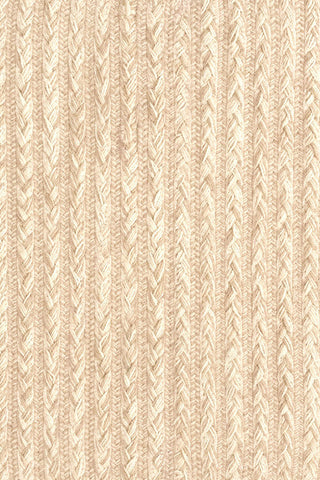 Down East Sand Dollar Area Rug