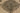 Vintage Distressed Hand-Knotted Wool Area Rug, Gray and Ivory 9'5" x 11'11" - detail photo 3