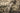 Vintage Distressed Hand-Knotted Wool Area Rug, Gray and Ivory 9'5" x 11'11" - detail photo 5
