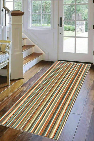 100% Polypropylene Vintage  Indoor/Outdoor Area Rug