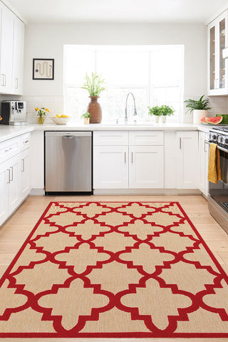 100% Polypropylene Vintage  Indoor/Outdoor Area Rug