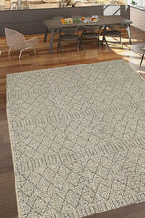 100% Polypropylene Vintage  Indoor/Outdoor Area Rug