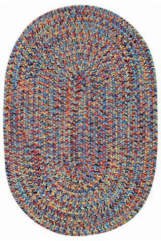Sea Glass Fiesta Bright Multi Area Rug