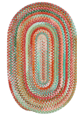 Cottonstone Cactus Garden Area Rug