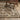 Oriental Weavers Acacia ACA01 Brown and Tan Extra Large Room Anchor Wool Area Rug - 9'10" x 12'10"