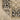 Oriental Weavers Acacia Natural ACA12 Tan and Charcoal Medium Living Room Rug Traditional Area Rug - 5'3" x 7'6"