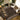 Oriental Weavers Ariana 213K8 Black and Ivory Compact Bedroom Accent Traditional Area Rug - 4' x 6'