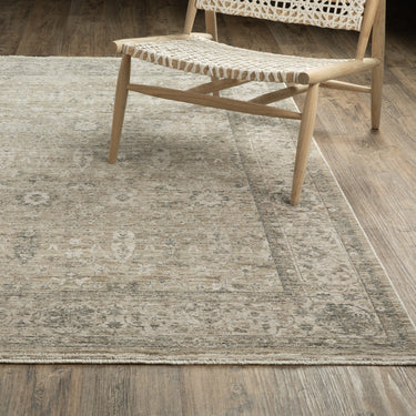 Oriental Weavers Avalon AVA03 Beige and Gray Large Seating Area Rug Medallion Area Rug 6'7" x 10' — lifestyle setting
