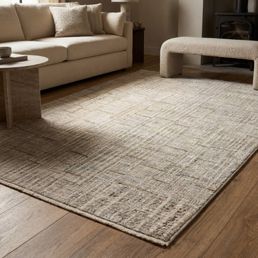 Oriental Weavers Branigan BRG02 Ivory and Gray Large Seating Area Rug Polyester Area Rug 6'7" x 9'6" — styled in a furnished room