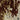 Oriental Weavers Capella CAP11 Beige and Multi Hallway Runner Polyester Runner Rug 2'3" x 7'6" — close-up of the woven pattern