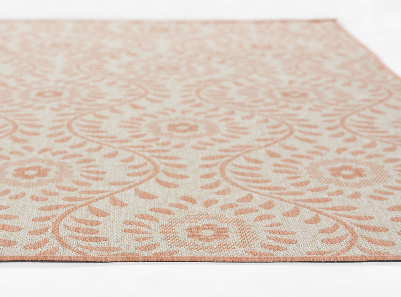 Coral Transitional Area Rug - AR6573