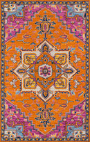 Multi-Color Traditional Area Rug - AR6307